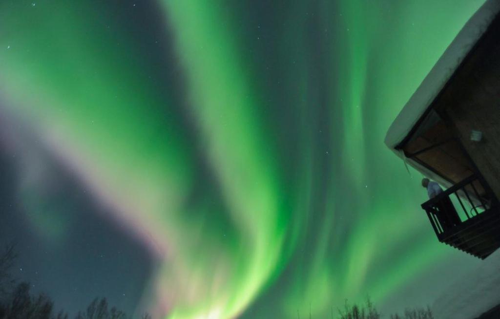 Alaska Grizzly Lodge Fairbanks Zewnętrze zdjęcie