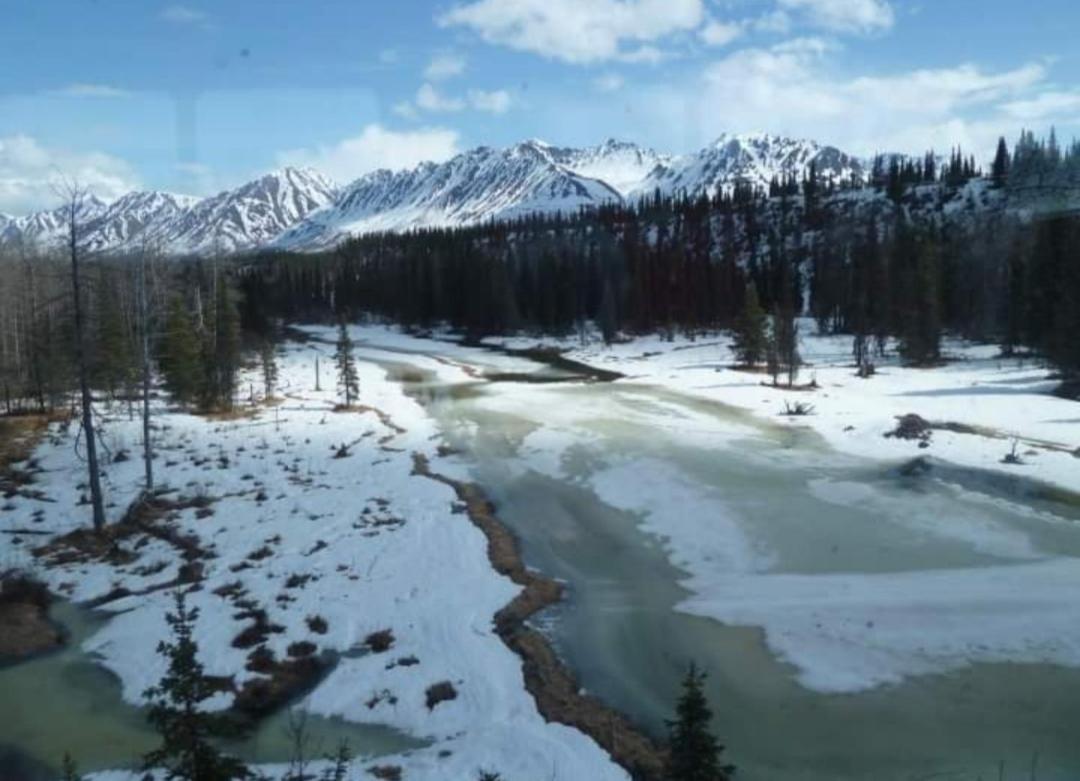 Alaska Grizzly Lodge Fairbanks Zewnętrze zdjęcie