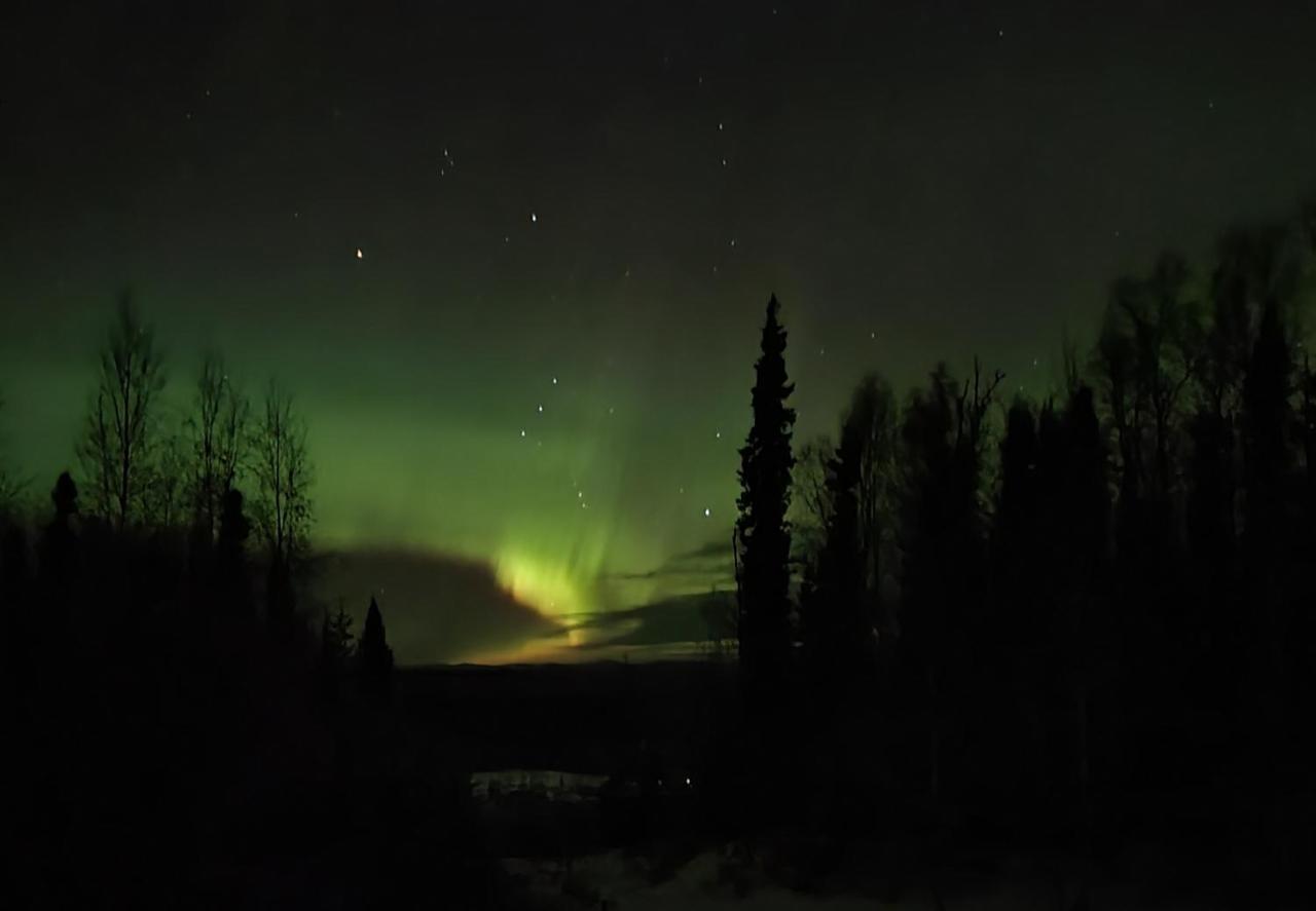 Alaska Grizzly Lodge Fairbanks Zewnętrze zdjęcie
