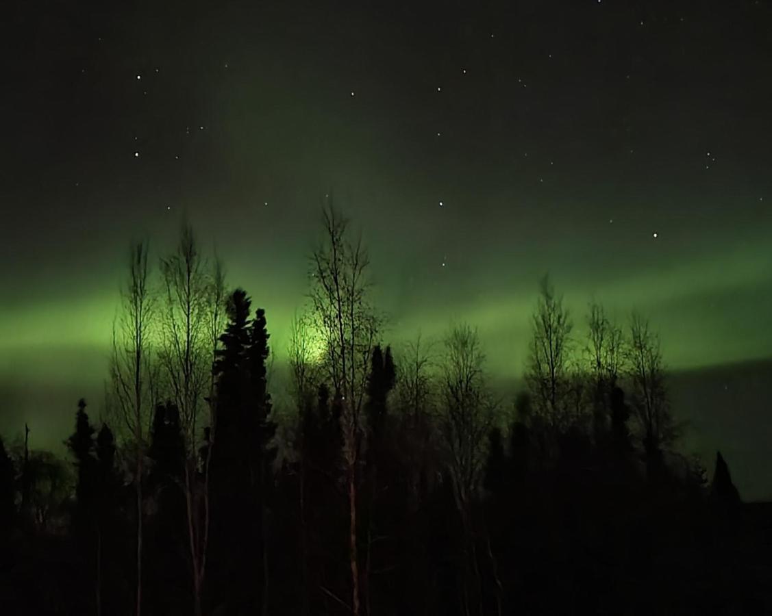 Alaska Grizzly Lodge Fairbanks Zewnętrze zdjęcie