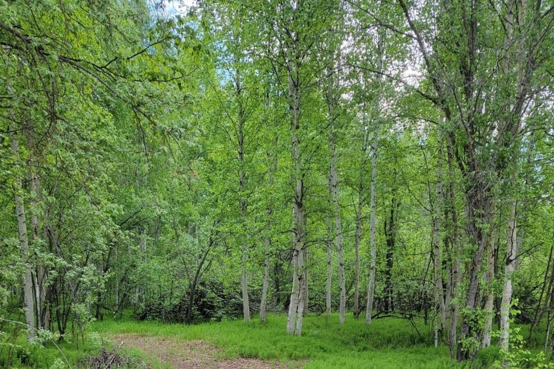 Alaska Grizzly Lodge Fairbanks Zewnętrze zdjęcie